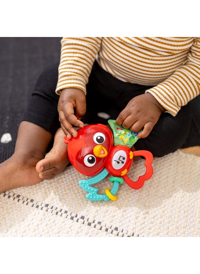 Baby Einstein - Roxy's Bright Flight Musical Toy, Interactive Sensory Toy with Lights, Music, and Textured Wings, 3 Months+