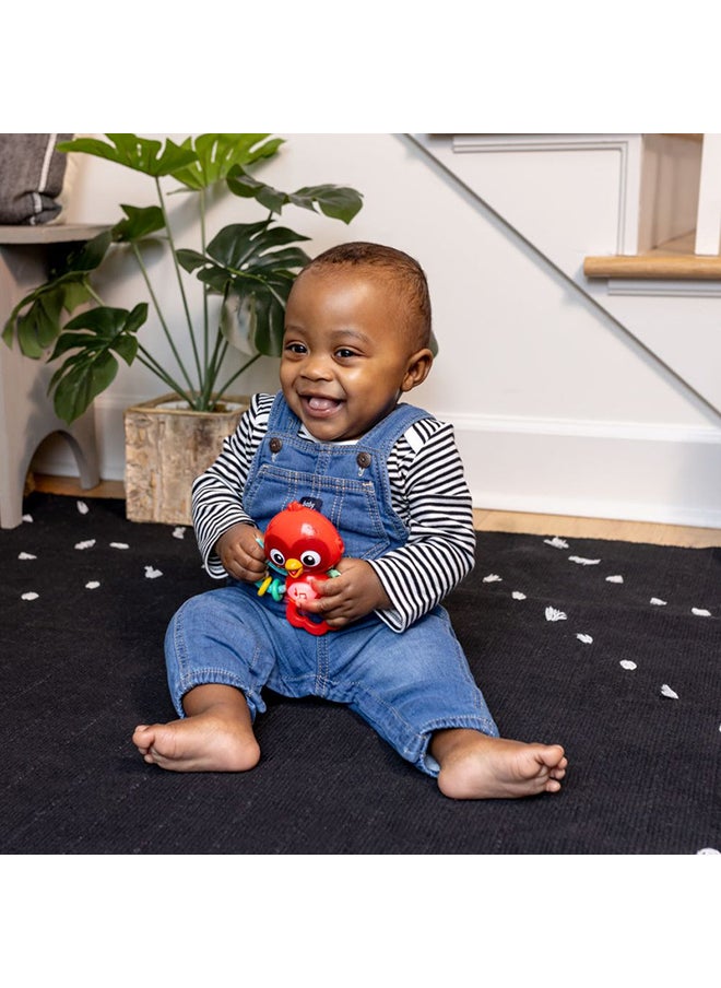 Baby Einstein - Roxy's Bright Flight Musical Toy, Interactive Sensory Toy with Lights, Music, and Textured Wings, 3 Months+