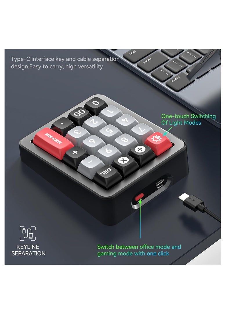 Game Keyboard with RGB Lighting, Hot Swappable Switches and Numpad, Great for Gaming and Programming, Type-C Connection, Black