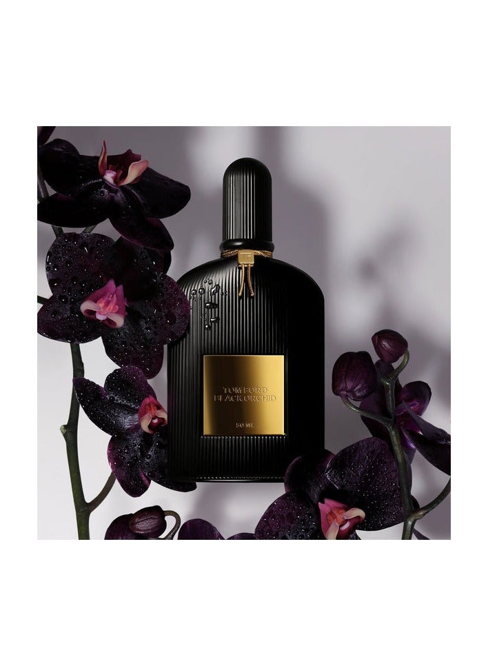 Black Orchid EDP For Men 100ml