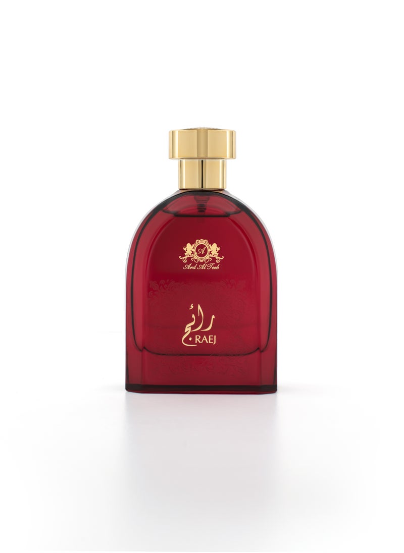 Ard Al Teeb Raej Ea de Parfum for Man 100 ml