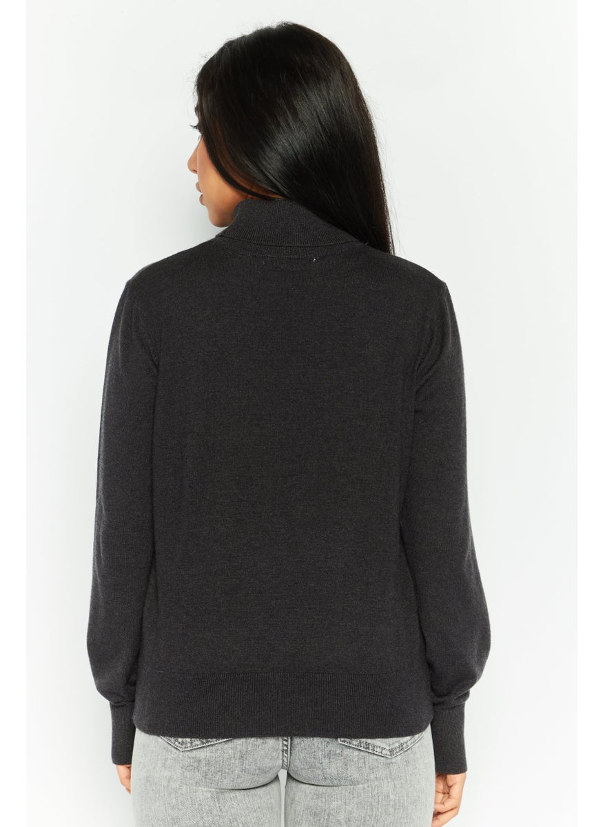 Women Turtle Neck Long Sleeves Knitted Sweater, Black