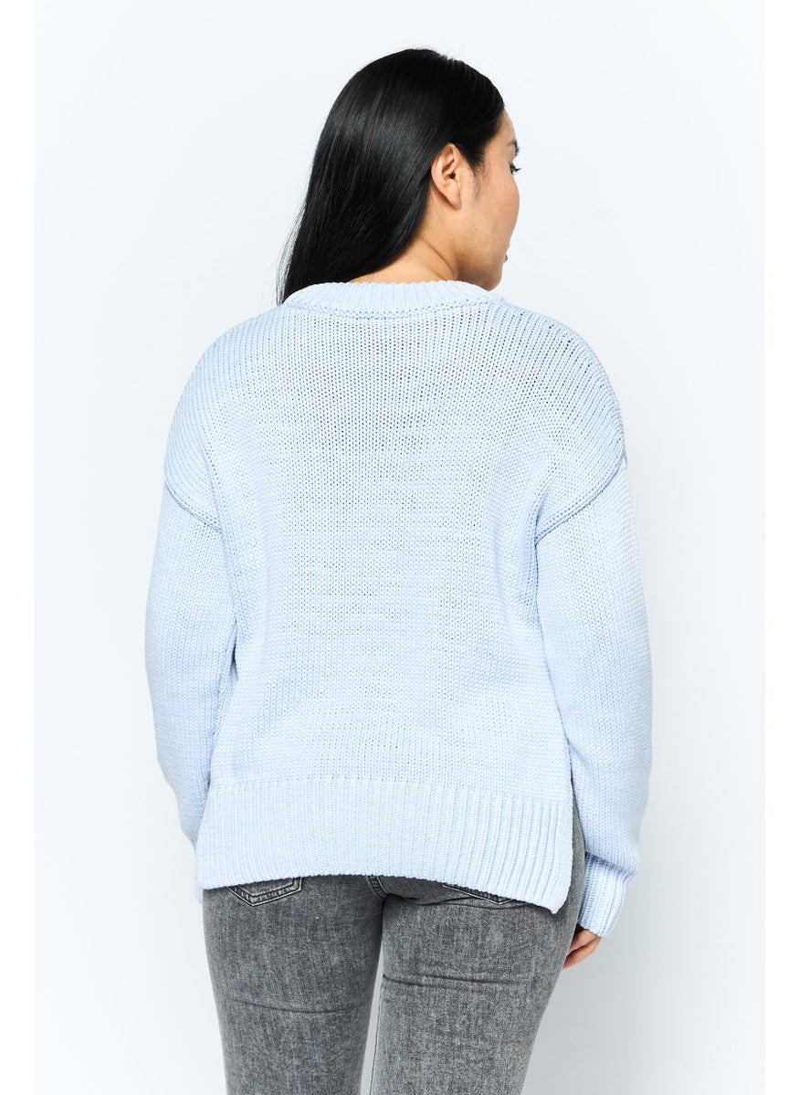 Women Crew Neck Textured Sweater, Light Blue