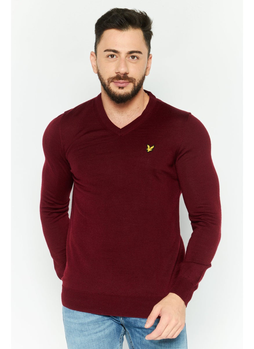 Men V-Neck Embroidered Logo Sweater, Maroon