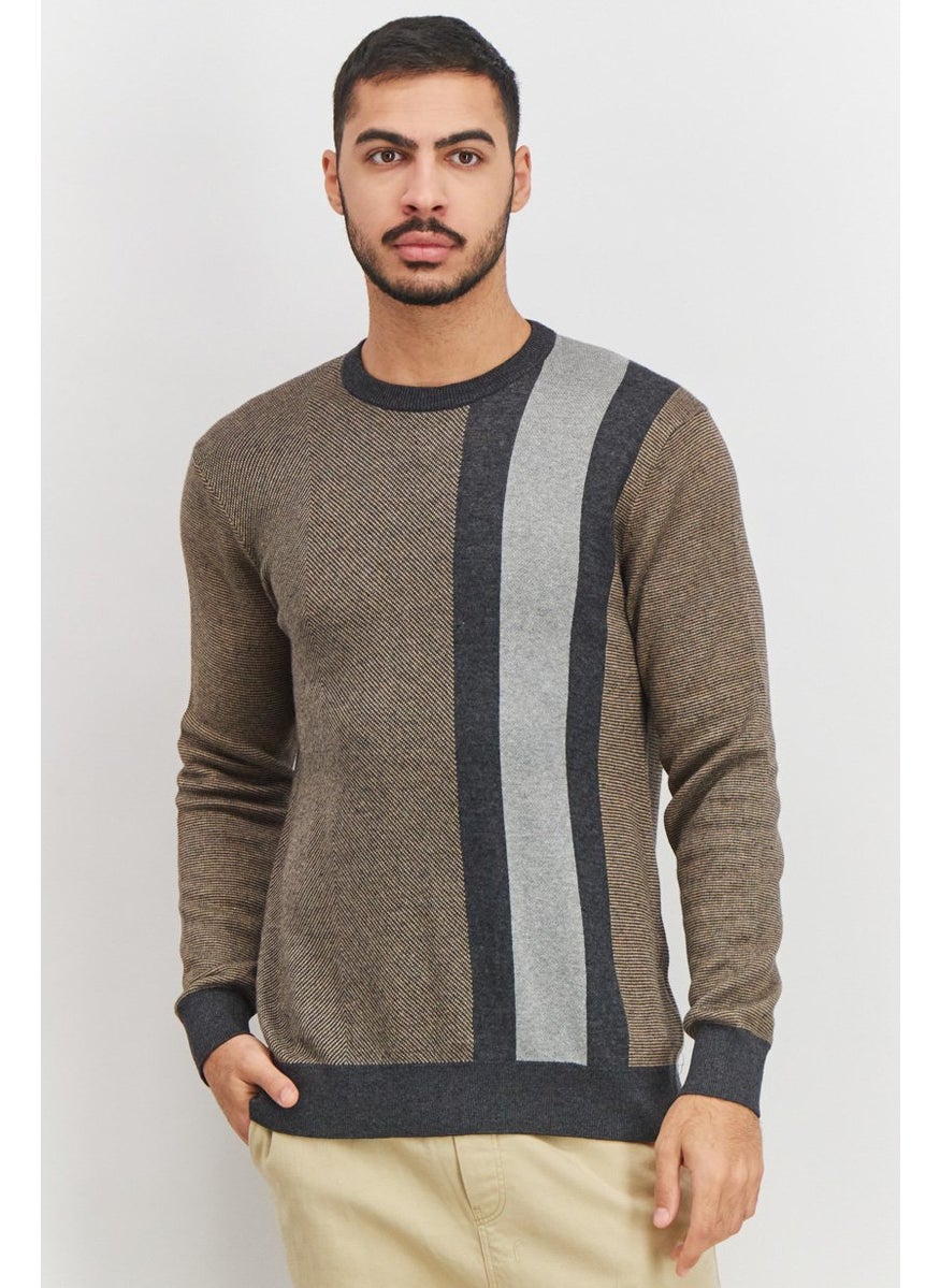 Men Crew Neck Stripe Long Sleeve Sweater, Brown and Black Combo