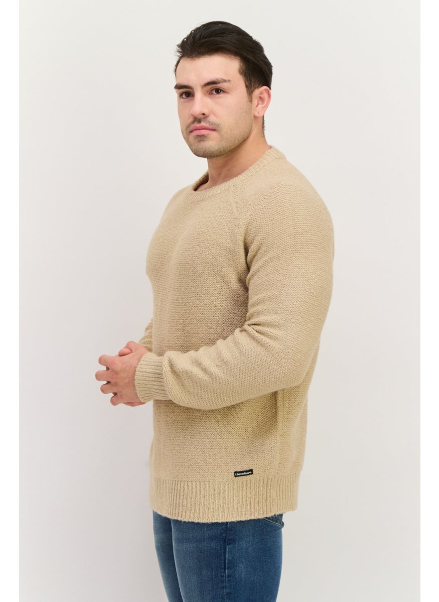 Men Crew Neck Long Sleeve Knitted Sweater, Beige