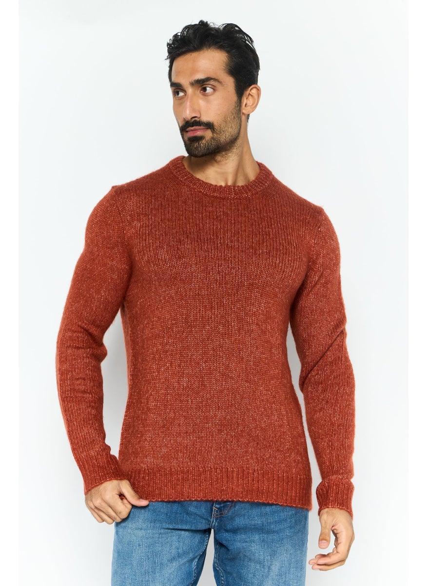 Men Crew Neck Long Sleeve Textured Sweater, Brown