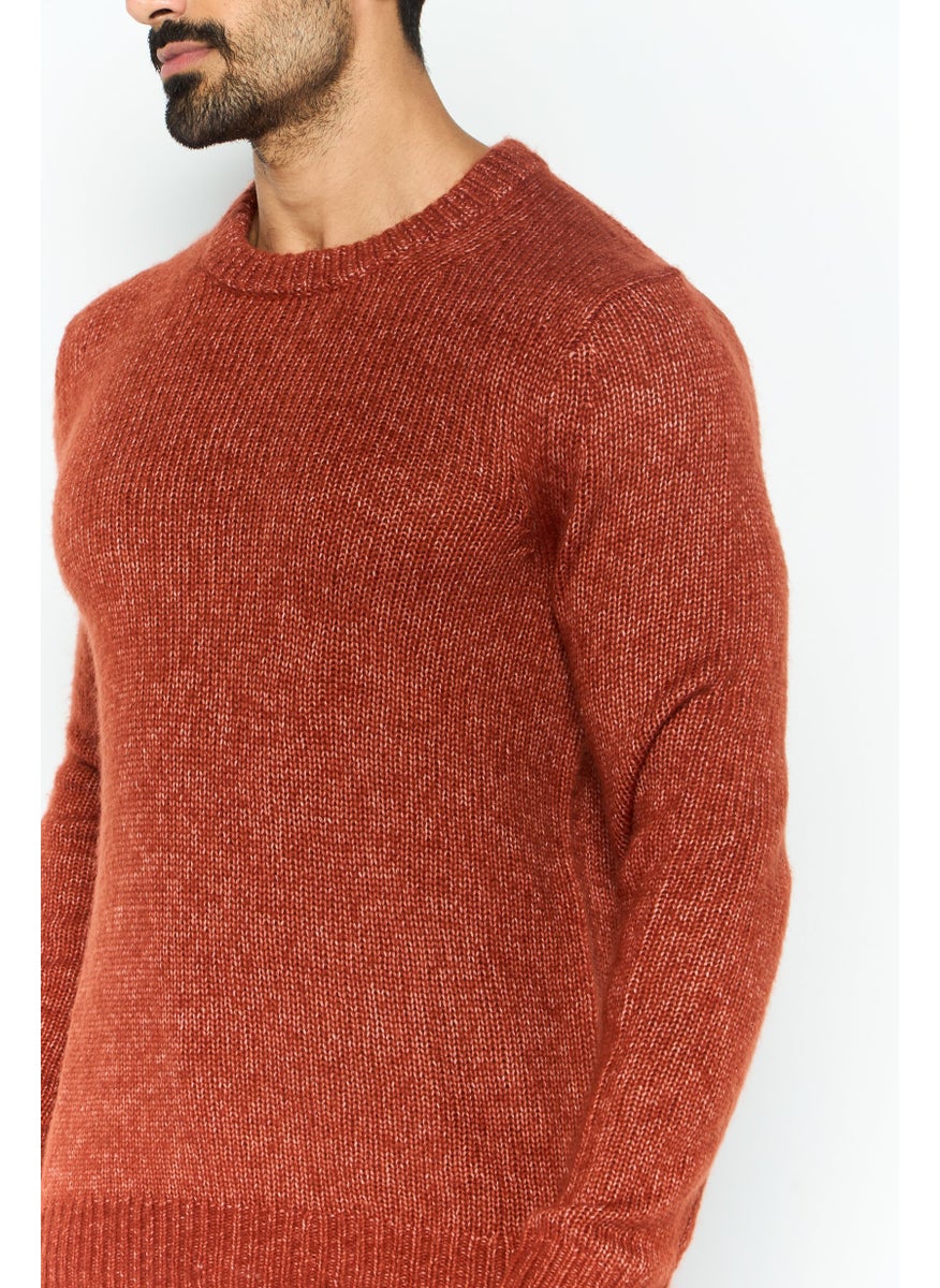 Men Crew Neck Long Sleeve Textured Sweater, Brown