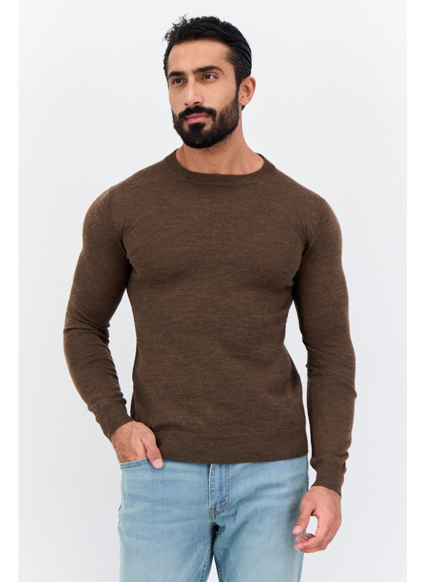 Men Crew Neck Long Sleeves Textured Sweater, Brown