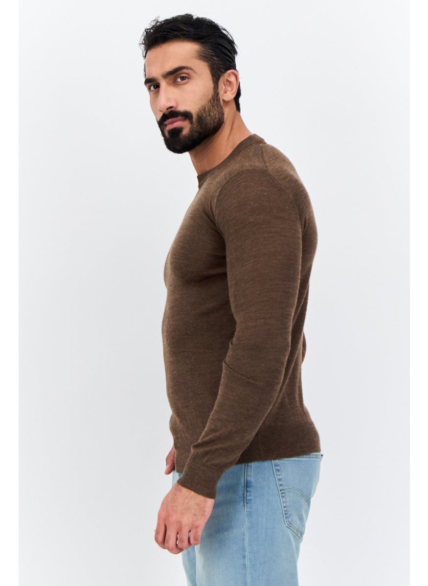 Men Crew Neck Long Sleeves Textured Sweater, Brown