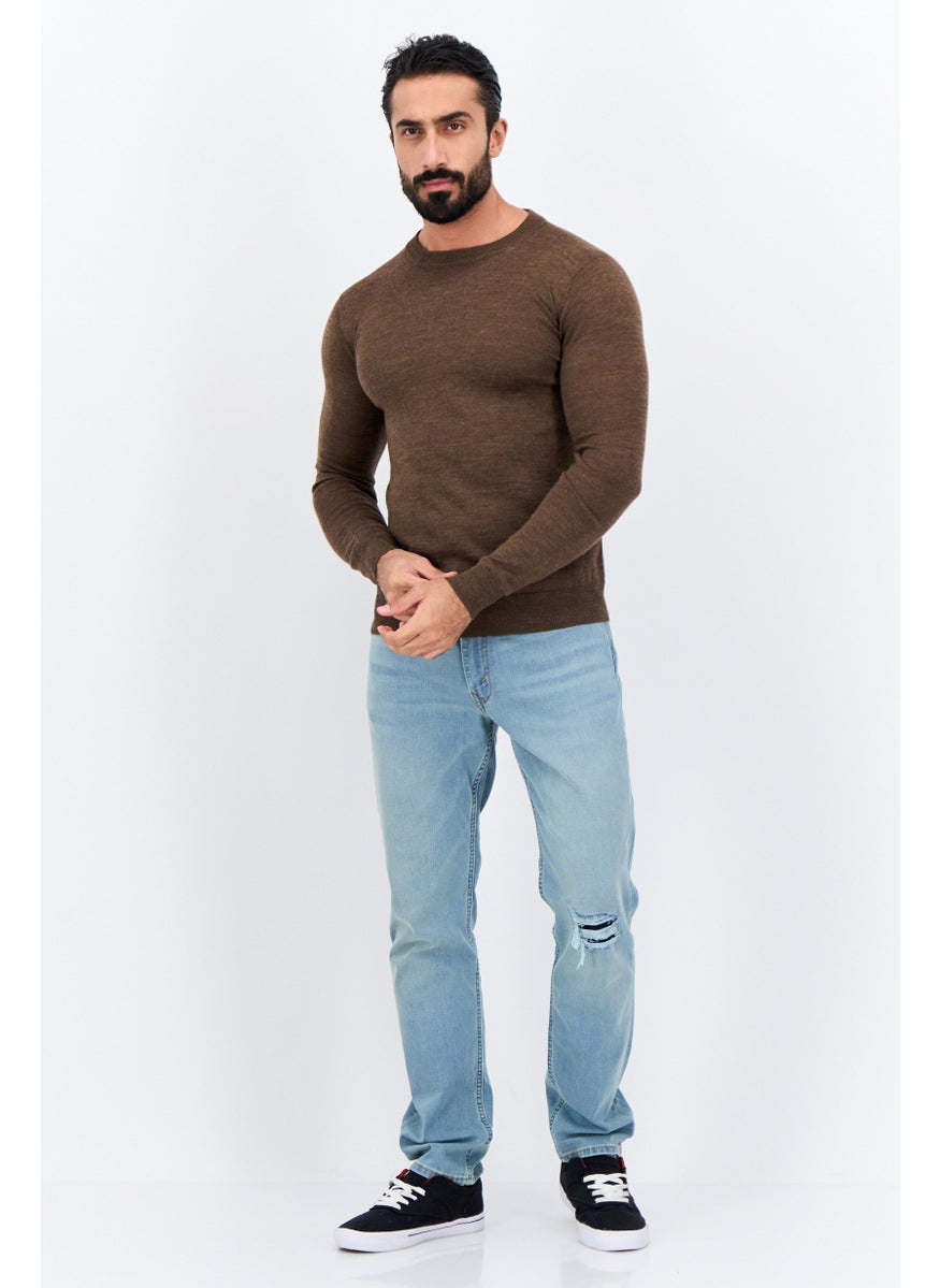 Men Crew Neck Long Sleeves Textured Sweater, Brown