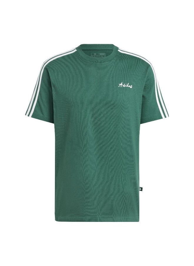 adidas M Gallery Ss T Green Training T-Shirts XS