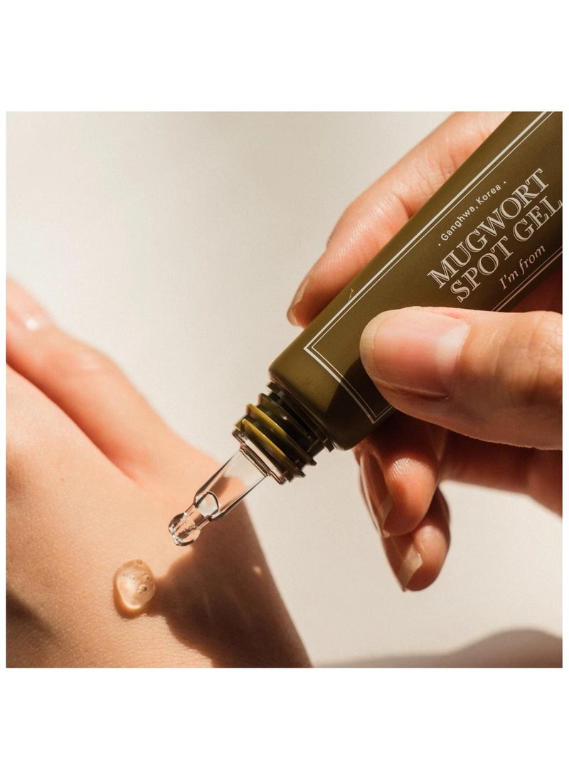 I'm From Mugwort Spot Gel 15g
