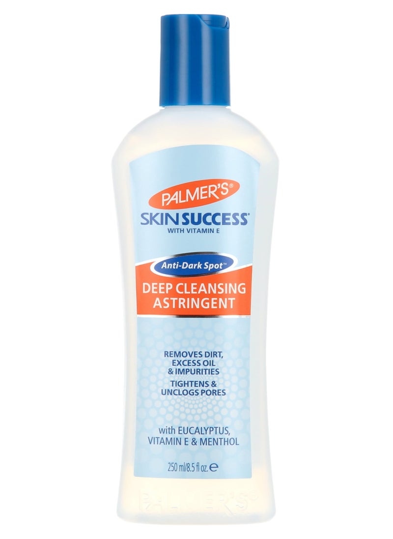 Skin Success Deep Cleansing Facial Astringent - 8.5 Oz