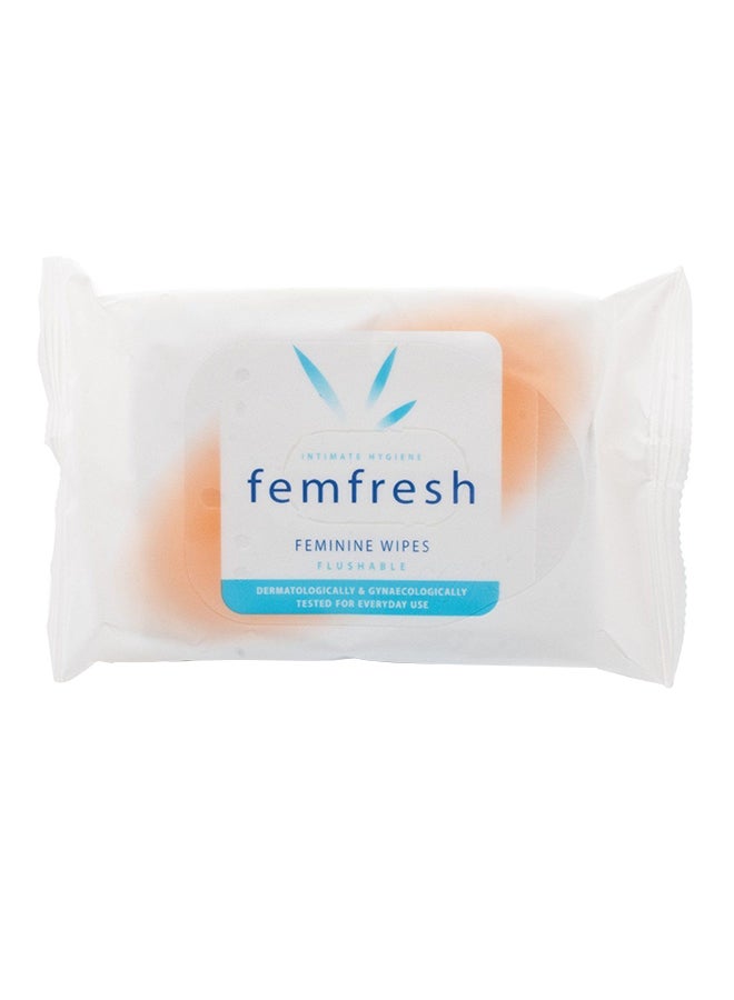 15-Piece Fem Fresh Cleansing Wipe 200grams