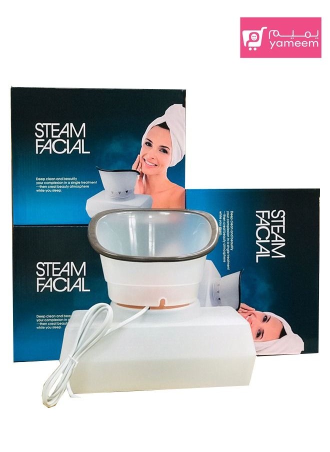 Domestic Electric Facial Steamer Device