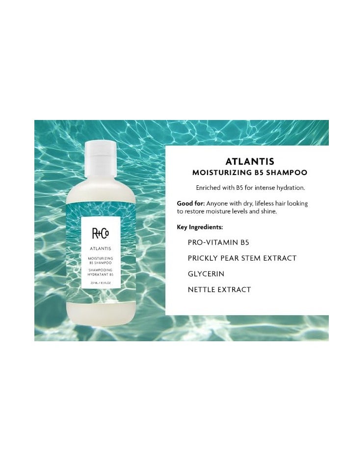R+Co Atlantis Moisturizing B5 Shampoo + Conditioner + High Dive Deluxe Sample | Vegan + Cruelty-Free | 2 x 8.5 Oz + .5 Oz Deluxe Sample