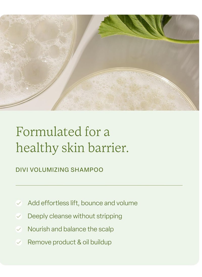 divi Volumizing Shampoo and Conditioner Set for Women and Men - Lightweight Hair Care Duo for Fine and Thinning Hair - Adds Volume, Lift, and Bounce - Strengthens and Nourishes Hair, 2 x 12 Fl Oz