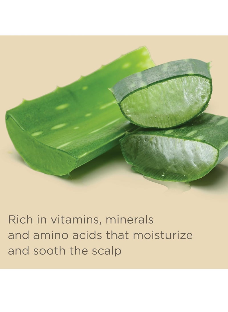 Hairitage Color Check Moisturizing Shampoo and Conditioner Set, UV Protection for Color Treated Hair, Prevent Color Washout, Fading, 13oz each (26oz total)