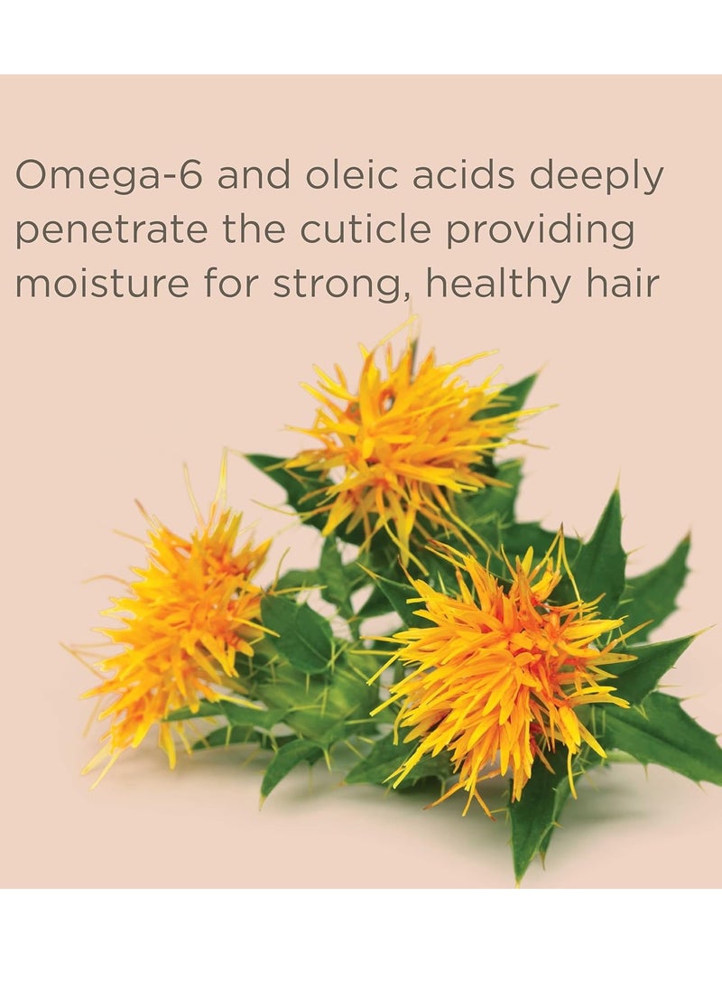 Hairitage Color Check Moisturizing Shampoo and Conditioner Set, UV Protection for Color Treated Hair, Prevent Color Washout, Fading, 13oz each (26oz total)