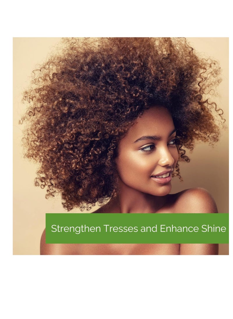 GIOVANNI 2chic Ultra-Moist Dual Action Protective Leave-In Spray - Protects from Heat Styling Breakage, Avocado & Olive Oil, Aloe Vera, Shea Butter, Botanical Extracts, No Parabens, Color Safe 4 fl oz