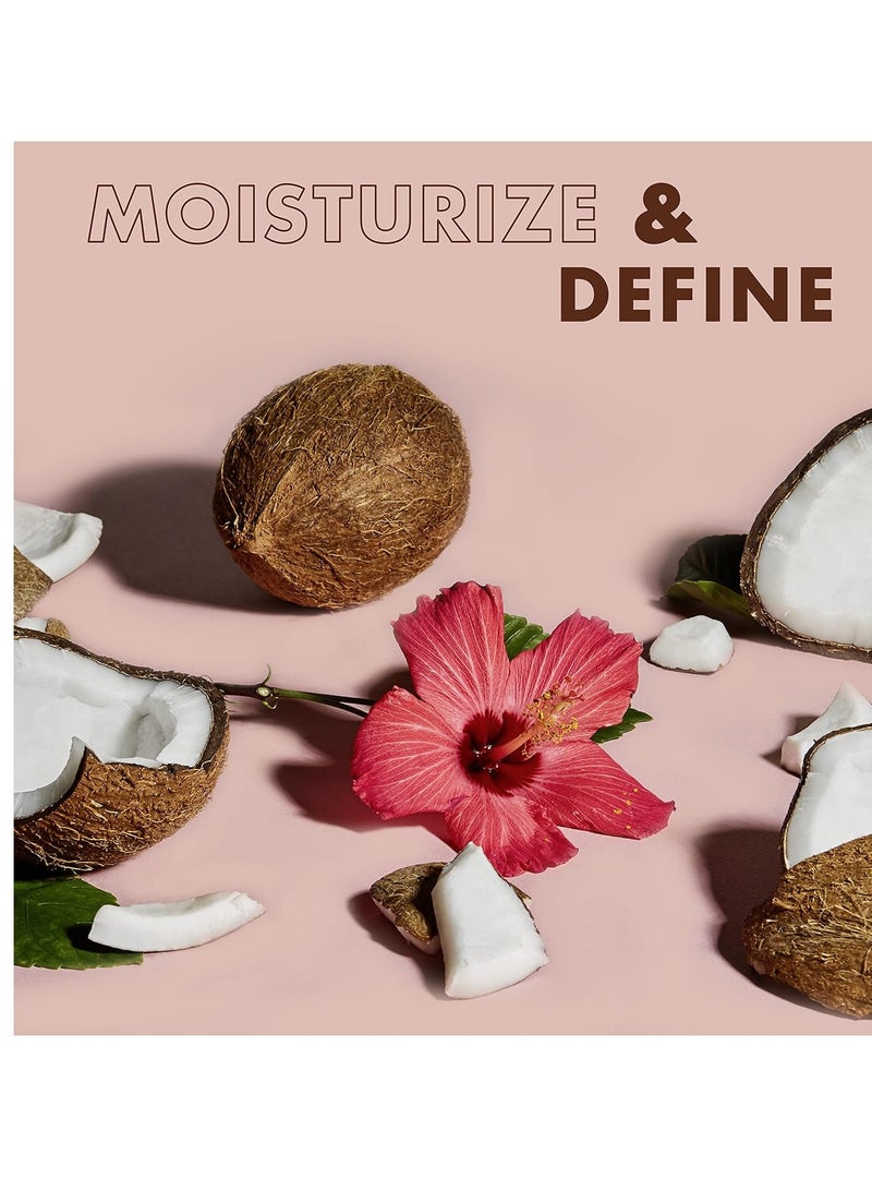 Curling Cream for Curl Definition Coconut & Hibiscus Curl and Detangle Kids Hair 6 oz and Baby Wash & Shampoo Raw Shea Chamomile & Argan Oil 6 fl oz and 13 fl oz