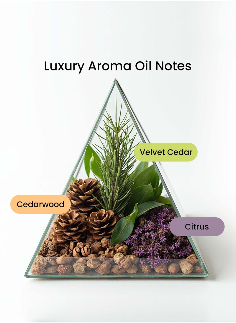 Dr Zay Scent Diffuser Aroma - Luxury (500ml)