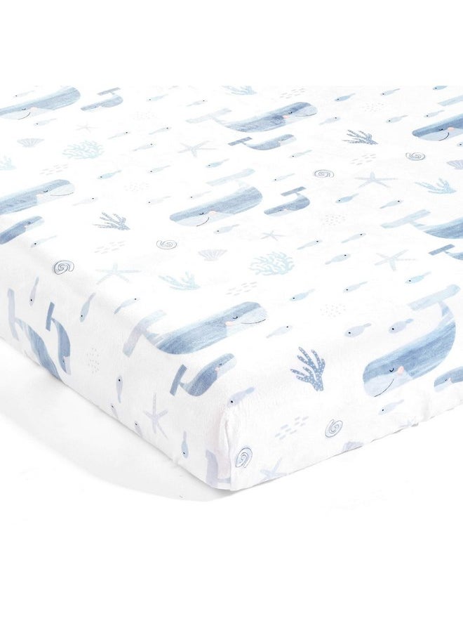 Lush Decor Baby Seaside Micro Mink 2 Pack Fitted Crib Sheet, Blue, 28