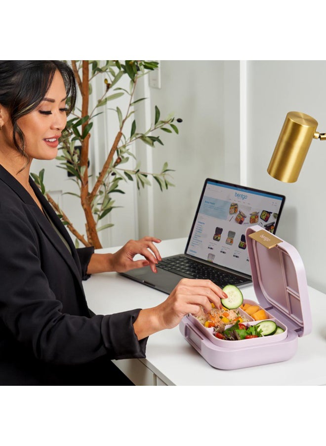 4 Compartments Modern Adult Lunchbox 850 ml  Orchid