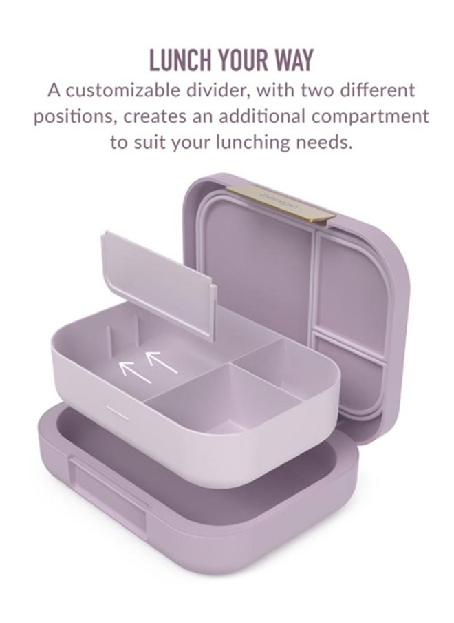 4 Compartments Modern Adult Lunchbox 850 ml  Orchid