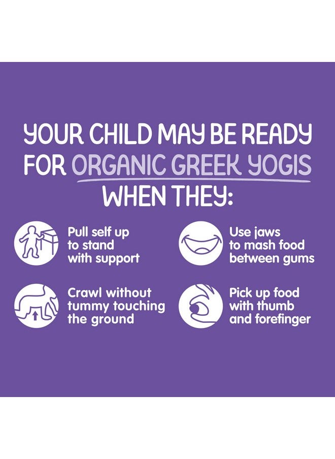 Happy Baby Organics Baby Snacks, Greek Yogis, Freeze Dried Yogurt &Veggie Fruit Snacks, Gluten Free Snack for Babies 9+ Months, Blueberry & Purple Carrot, 1 Ounce