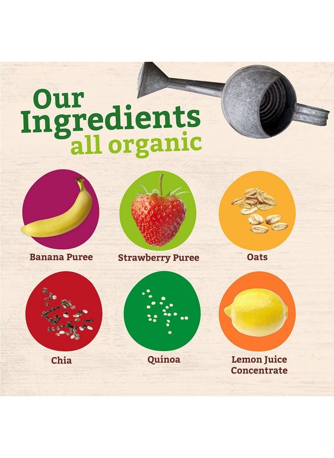 Pumpkin Tree Organics Super Oats & Seeds, Banana & Strawberry Fruit Packet, 4 Ounce (Pack of 10)