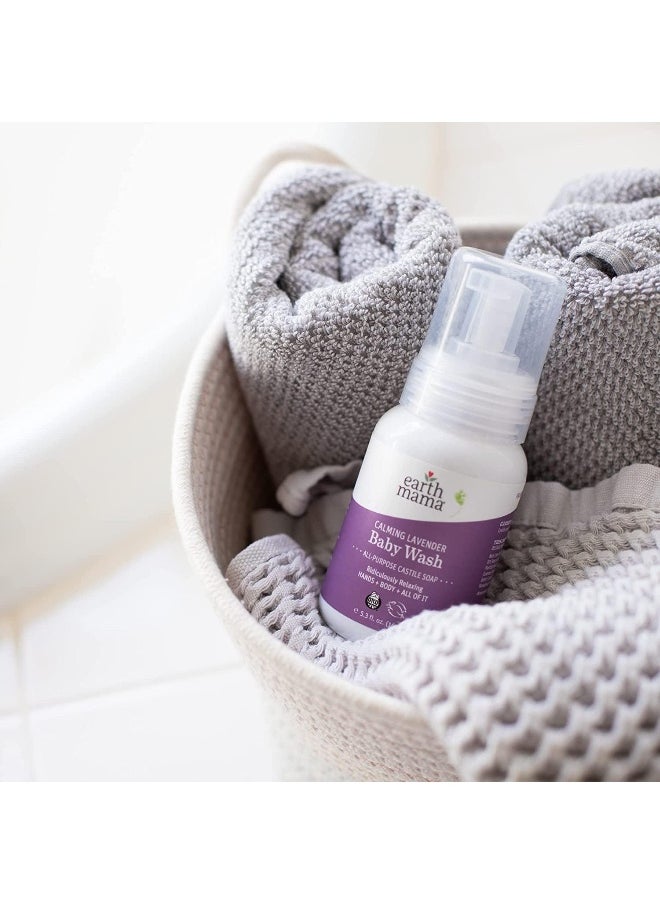 Earth Mama Calming Lavender Foaming Hand Soap | All-Purpose Castile Body Wash, 5.3-Fluid Ounce
