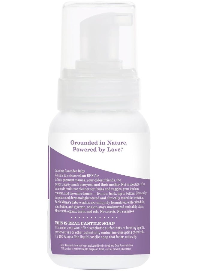 Earth Mama Calming Lavender Foaming Hand Soap | All-Purpose Castile Body Wash, 5.3-Fluid Ounce