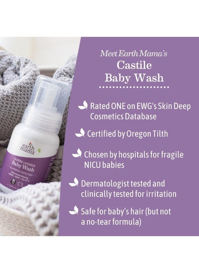 Earth Mama Calming Lavender Foaming Hand Soap | All-Purpose Castile Body Wash, 5.3-Fluid Ounce