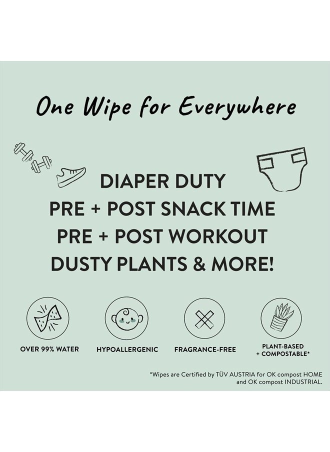 Clean Conscious Unscented Wipes | Over 99% Water, Compostable, Plant-Based, Baby Wipes | Hypoallergenic for Sensitive Skin, EWG Verified | Geo Mood, 60 Count