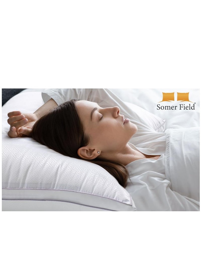 02 Piece Pillows Pack Side Sleeping Bed Pillow for Side Back Stomach Sleepers Hotel Quality Easy Care Premium Quality White Queen Size 20X30 Inches