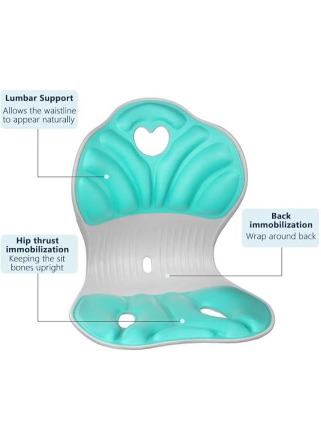 Ergonomic Back Support Chair, Comfortable Lumbar Improve Posture Correcting Chair Cushion for Men Women