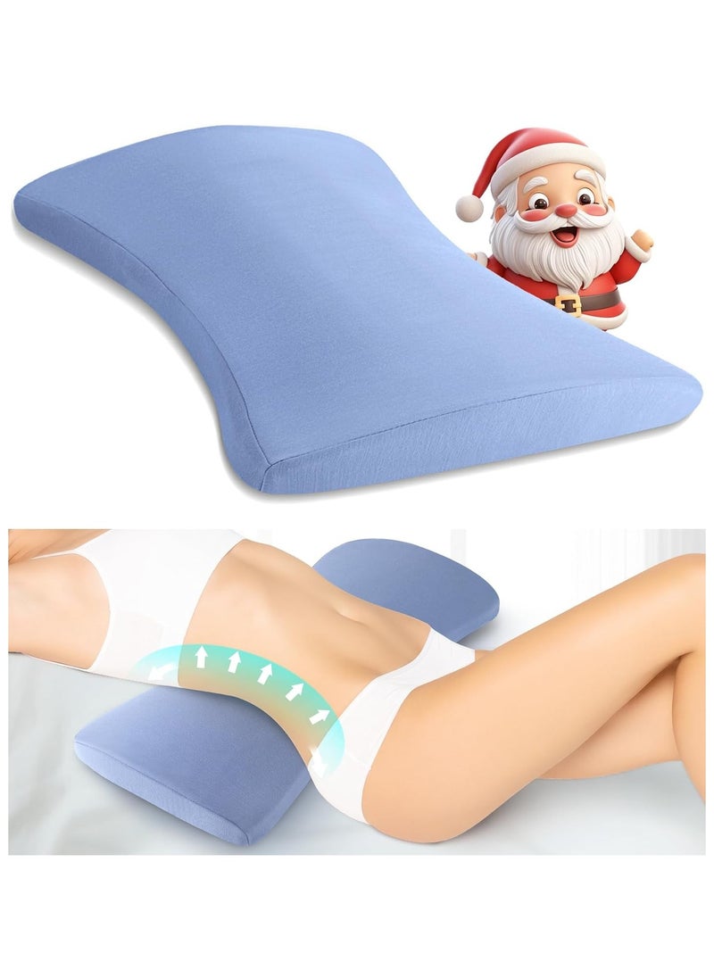 Lumbar Support Pillow for Bed Relief Back Pain: Lower Back Pillow for Sleeping - Memory Foam Waist Pillow - Back Wedge Bolster Pillow for Side, Back&Stomach Sleepers - Bed Rest Pillow for Car, Sofa