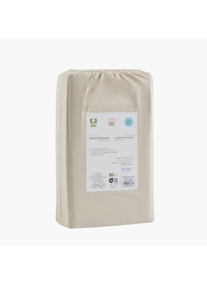 Essential Cotton Olympic Queen Fitted Sheet - 160X200+36 Cm