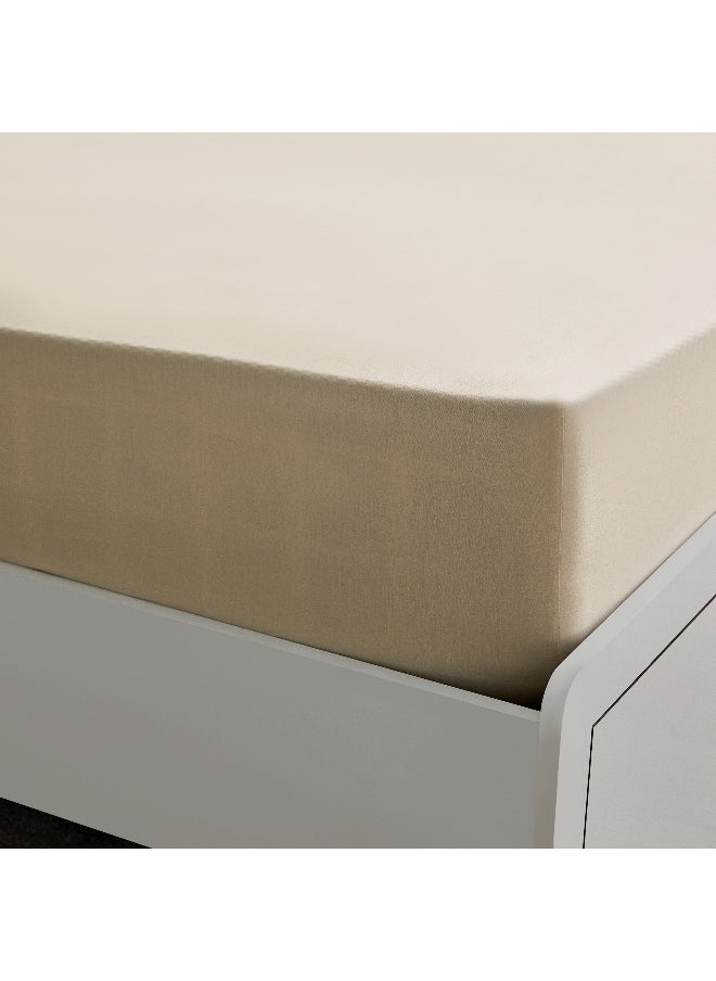 Essential Cotton Olympic Queen Fitted Sheet - 160X200+36 Cm