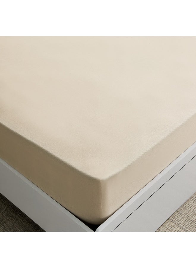 Essential Cotton Olympic Queen Fitted Sheet - 160X200+36 Cm