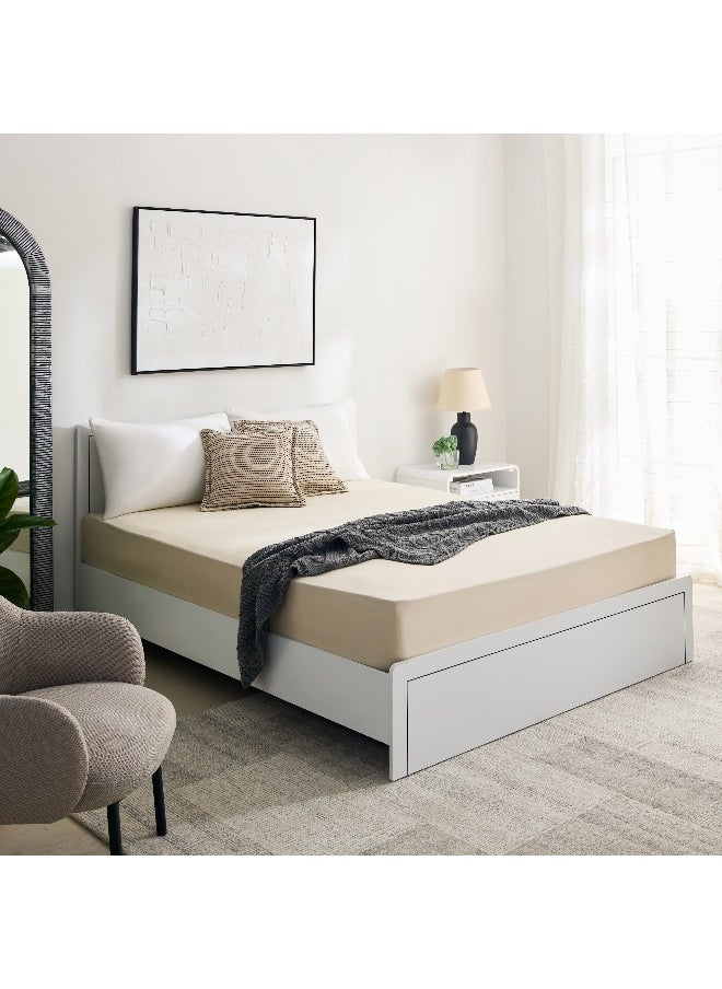 Essential Cotton Olympic Queen Fitted Sheet - 160X200+36 Cm