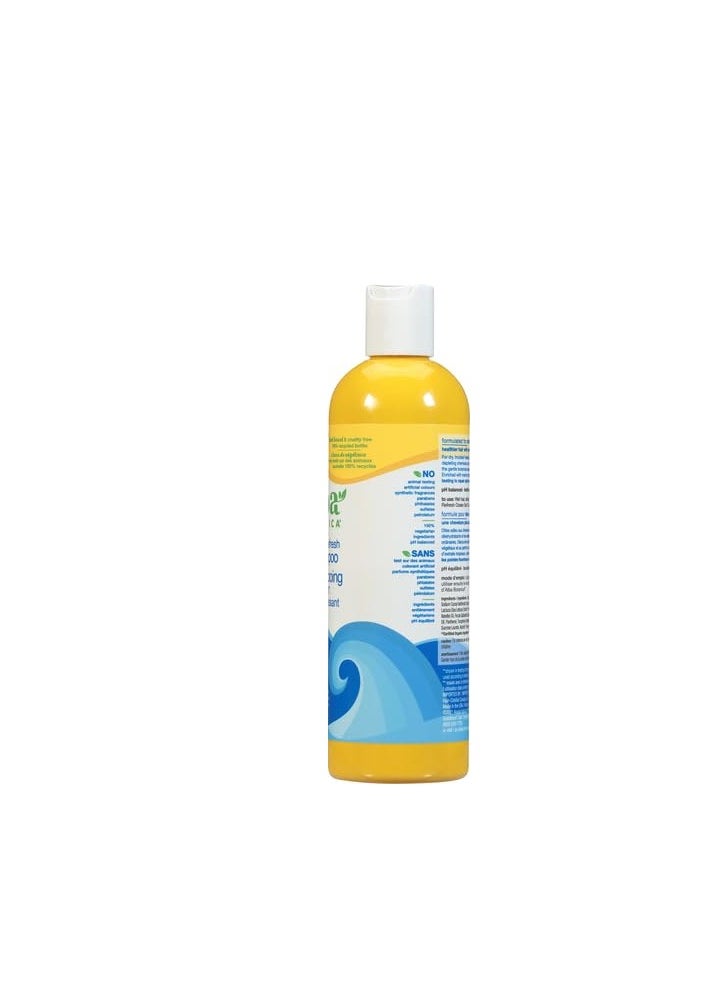 Alba Botanica Repair & Refresh Shampoo, Ocean Surf, 12 Oz