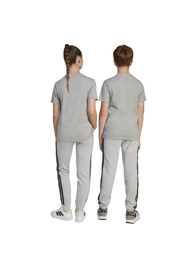 essentials unisex pants