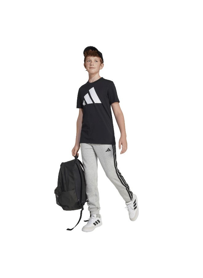 essentials unisex pants