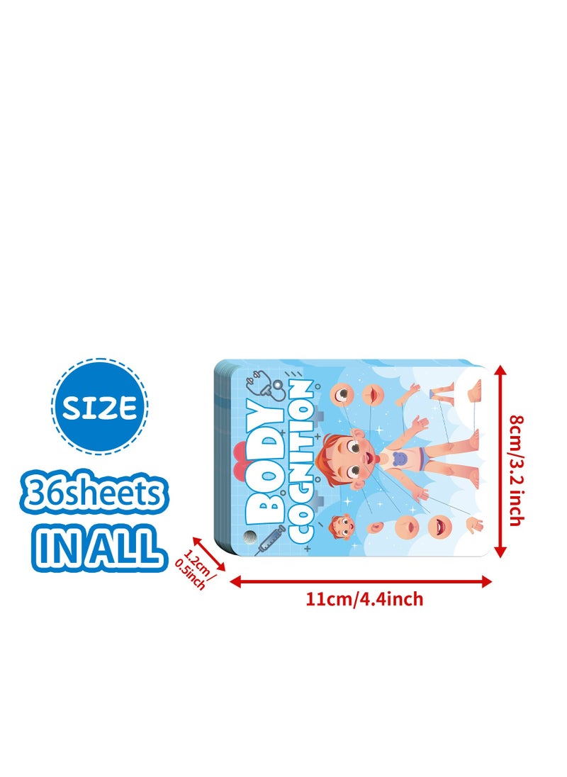 36 Pcs Body Cognition Education Card Children's Enlightenment Early Education Parent-Child Educational Toys