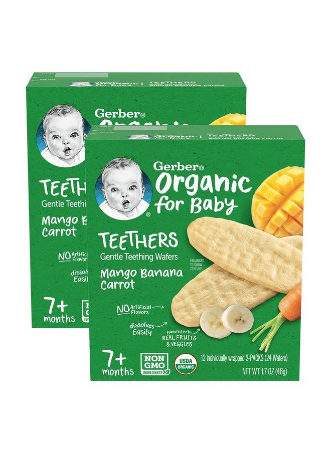 Gerber Organic for Baby Teethers, Mango Banana Carrot, Gentle Teething Wafers, Made with Non-GMO Ingredients, 12 Individually Wrapped 2 Packs Per Box (Pack of 2 Boxes)