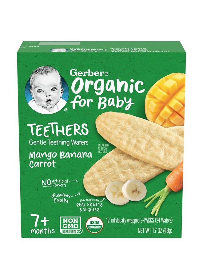 Gerber Organic for Baby Teethers, Mango Banana Carrot, Gentle Teething Wafers, Made with Non-GMO Ingredients, 12 Individually Wrapped 2 Packs Per Box (Pack of 2 Boxes)