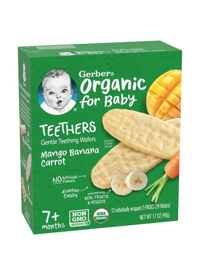 Gerber Organic for Baby Teethers, Mango Banana Carrot, Gentle Teething Wafers, Made with Non-GMO Ingredients, 12 Individually Wrapped 2 Packs Per Box (Pack of 2 Boxes)